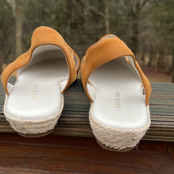 David Tate - Picture 4 of 5